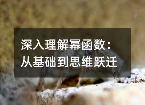 深入理解冪函數:從基礎到思維躍遷