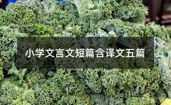 小學文言文短篇含譯文五篇
