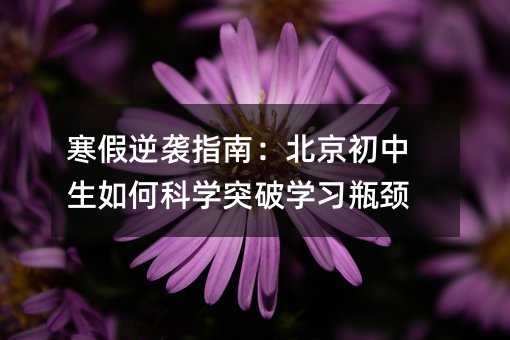 寒假逆襲指南:北京初中生如何科學突破學習瓶頸