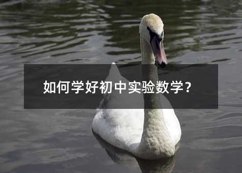 如何學(xué)好初中實驗數(shù)學(xué)?