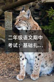 꼉ZпԇAxT