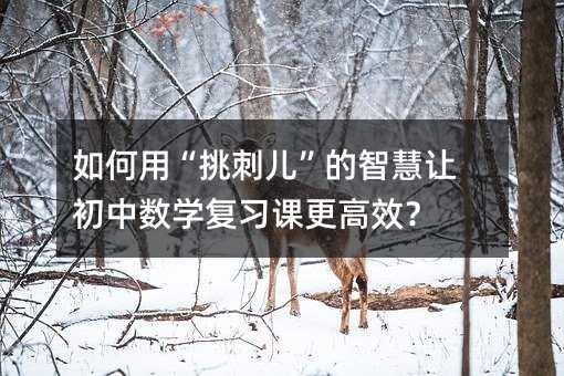 如何用“挑刺兒”的智慧讓初中數學復習課更高效?