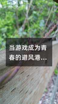 ��(d��ng)�Α�ɞ��ഺ�ı��L(f��ng)�ۣ�һλ���H�ľ��H֮·