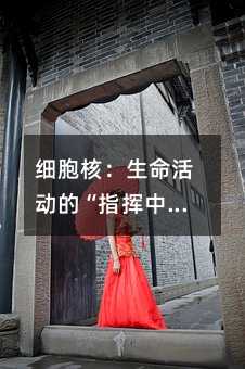 細胞核:生命活動的“指揮中心”——高中生也能輕松掌握的生物核心知識