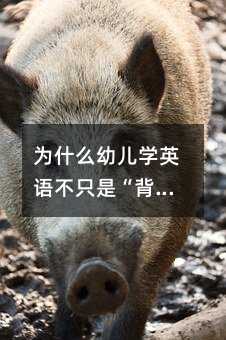 ʲô׃WӢZֻǡ~@Щܛ]^̎Ӱ푺һ