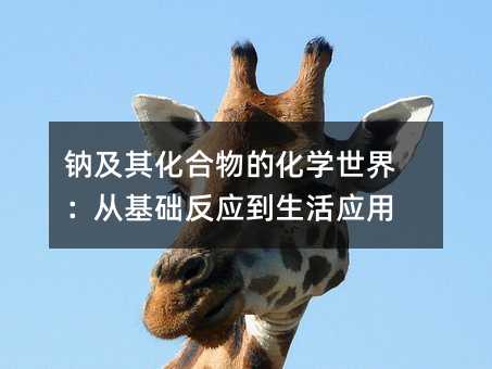 鈉及其化合物的化學世界:從基礎反應到生活應用
