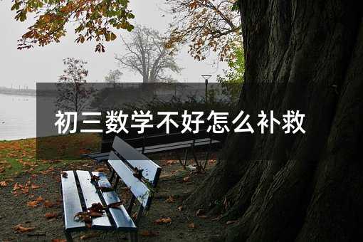 初三數學不好怎么補救