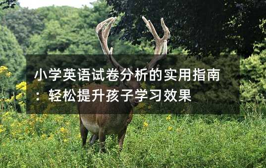小學(xué)英語(yǔ)試卷分析的實(shí)用指南:輕松提升孩子學(xué)習(xí)效果