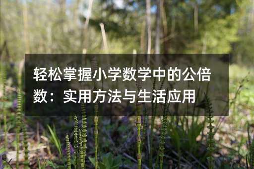 輕松掌握小學數學中的公倍數:實用方法與生活應用
