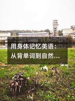 用身體記憶英語:從背單詞到自然表達的深度學習法