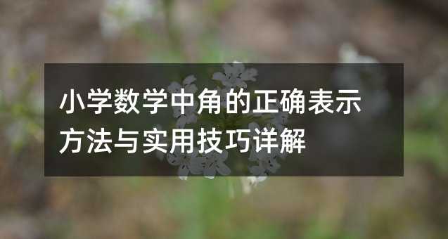 小學數(shù)學中角的正確表示方法與實用技巧詳解