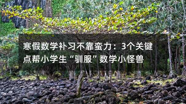寒假數(shù)學(xué)補(bǔ)習(xí)不靠蠻力:3個(gè)關(guān)鍵點(diǎn)幫小學(xué)生“馴服”數(shù)學(xué)小怪獸