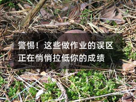 裡@ЩI(y)`^(q)ĳɿ(j)