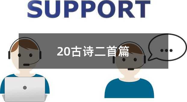 20Ԋ(sh)ƪ