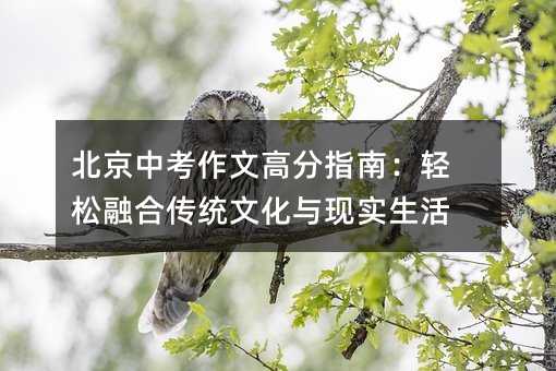 北京中考作文高分指南:輕松融合傳統(tǒng)文化與現(xiàn)實(shí)生活