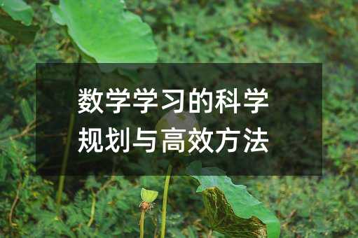 ���W�W���ĿƌWҎ���c��Ч����