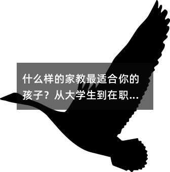 什么樣的家教最適合你的孩子?從大學生到在職教師的深度分析