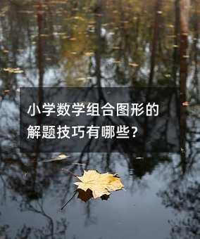 小學(xué)數(shù)學(xué)組合圖形的解題技巧有哪些?