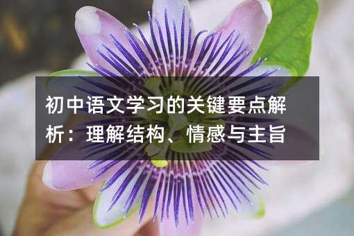 初中語文學習的關鍵要點解析:理解結構、情感與主旨