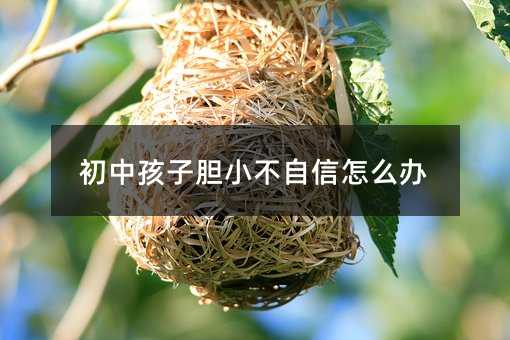 初中孩子膽小不自信怎么辦
