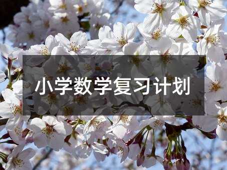 小學(xué)數(shù)學(xué)復(fù)習(xí)計(jì)劃