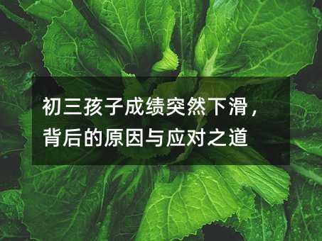 初三孩子成績突然下滑,背后的原因與應對之道