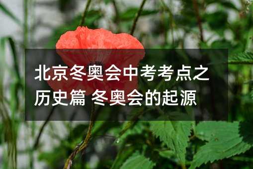 W(hu)пc(din)֮vʷƪ W(hu)Դ