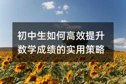 ��������θ�Ч�������W�ɿ��Č��ò���