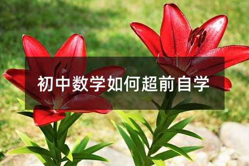 ���Д��W��γ�ǰ�ԌW