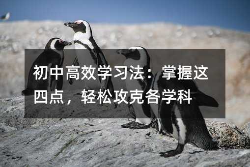 ���и�Ч�W(xu��)��(x��)���������@���c���p�ɹ��˸��W(xu��)��