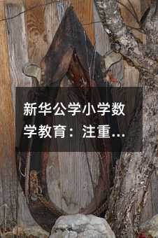 新華公學(xué)小學(xué)數(shù)學(xué)教育:注重思維培養(yǎng)與全面發(fā)展的探索