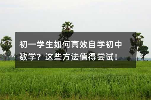 初一學生如何高效自學初中數學?這些方法值得嘗試!