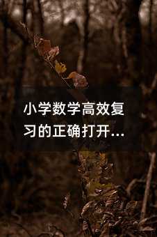 小學數(shù)學高效復習的正確打開方式