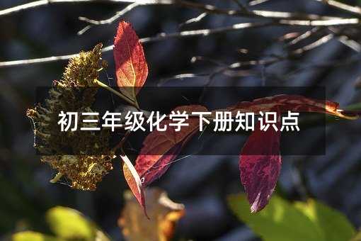 初三年級(jí)化學(xué)下冊知識(shí)點(diǎn)