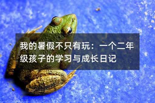 我的暑假不只有玩:一個(gè)二年級(jí)孩子的學(xué)習(xí)與成長(zhǎng)日記