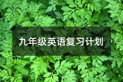 九年級(jí)英語(yǔ)復(fù)習(xí)計(jì)劃