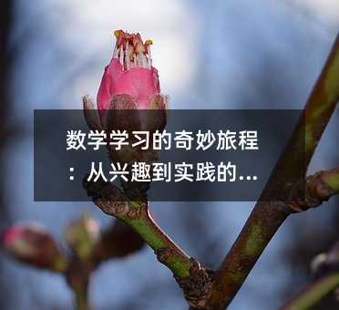 ��(sh��)�W(xu��)�W(xu��)��(x��)�������ọ́����dȤ����(sh��)�`��̽��