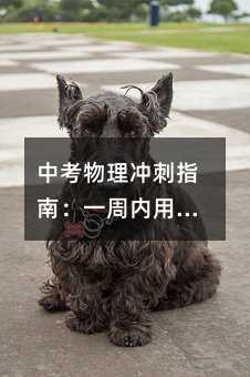 中考物理沖刺指南:一周內用課本+錯題實現高效復習