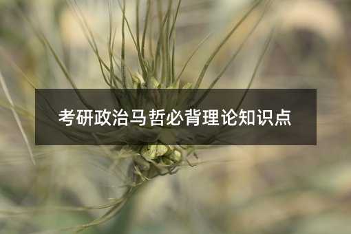 考研政治馬哲必背理論知識點
