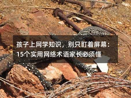 孩子上網學知識,別只盯著屏幕:15個實用網絡術語家長必須懂