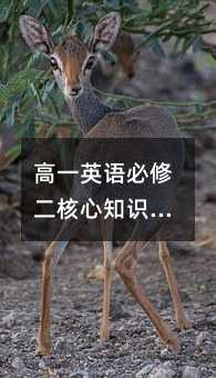 һӢZ޶֪Rc~R˼SSw