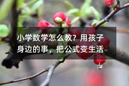 小學數學怎么教?用孩子身邊的事,把公式變生活