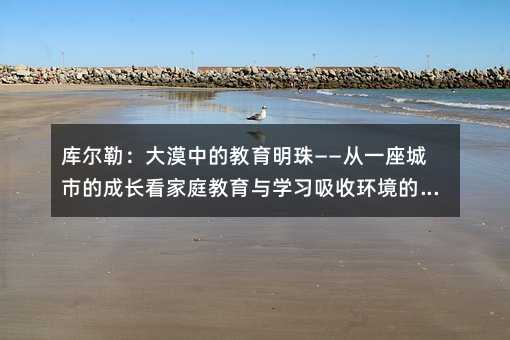 庫爾勒:大漠中的教育明珠——從一座城市的成長看家庭教育與學(xué)習(xí)吸收環(huán)境的重要性