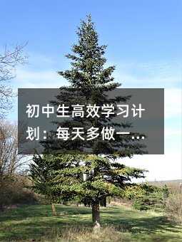初中生高效學習計劃:每天多做一點,成績自然上來
