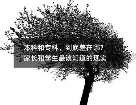 本科和專科,到底差在哪?家長和學(xué)生最該知道的現(xiàn)實