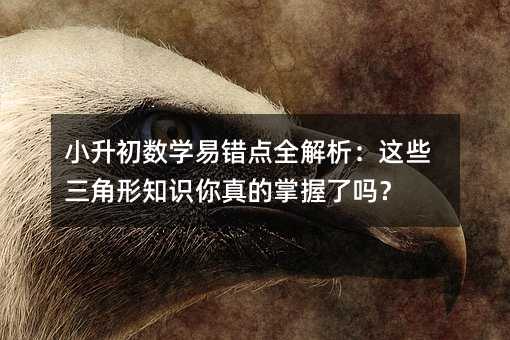 小升初數學易錯點全解析:這些三角形知識你真的掌握了嗎?