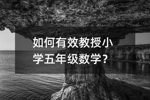 �����Ч����С�W���꼉���W��