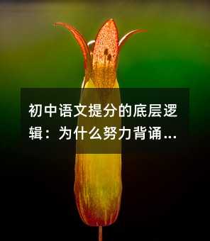 Zֵĵ׌߉݋ʲôŬbsҊЧ