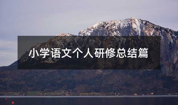 小學語文個人研修總結篇