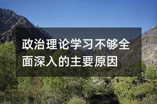 政治理論學(xué)習(xí)不夠全面深入的主要原因